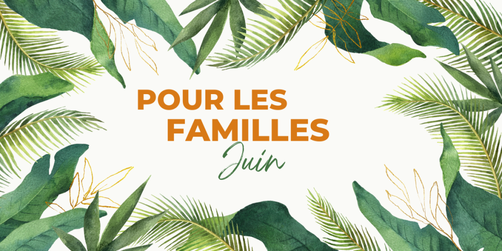 Programme de la MJC ranguin Pour les familles juin 2025