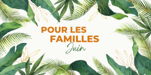 Programme de la MJC ranguin Pour les familles juin 2025